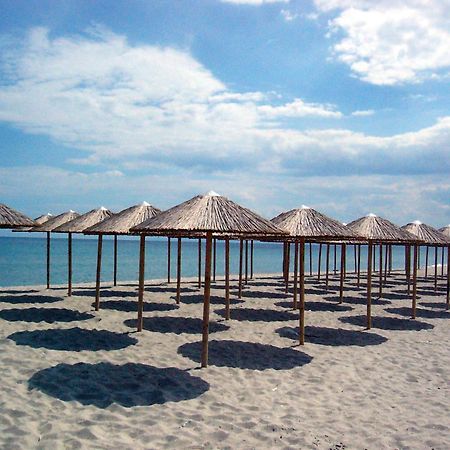 Hotel White Rose Beach Olympiakí Aktí Eksteriør billede