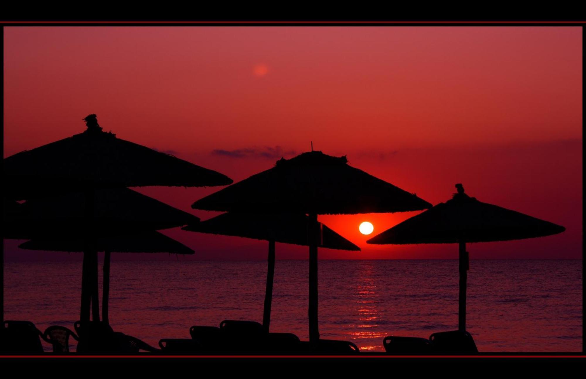 Hotel White Rose Beach Olympiakí Aktí Eksteriør billede