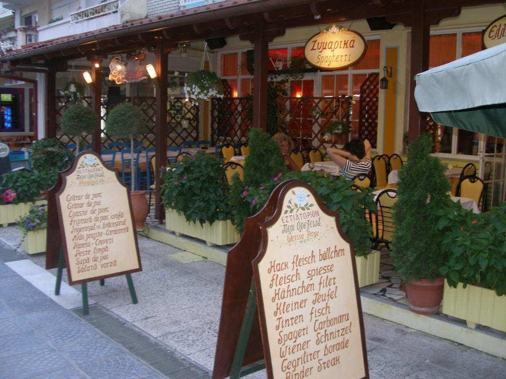 Hotel White Rose Beach Olympiakí Aktí Eksteriør billede