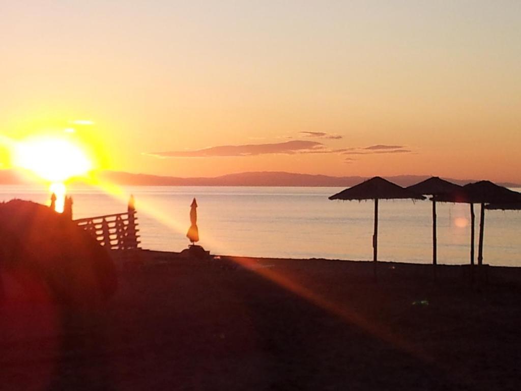 Hotel White Rose Beach Olympiakí Aktí Eksteriør billede