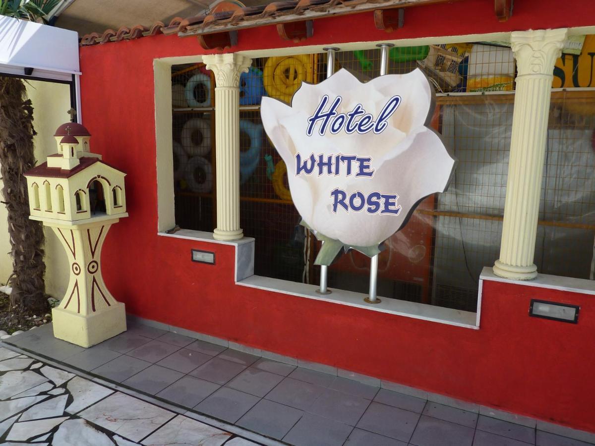 Hotel White Rose Beach Olympiakí Aktí Værelse billede